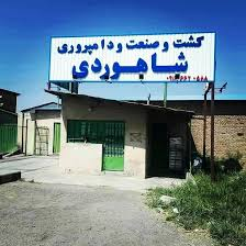 شاهوردی صنعت