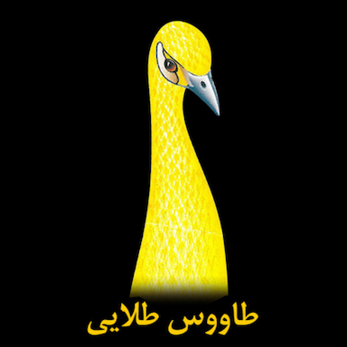 ریسندگی طاووس طلایی